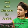 About Yaad Katai Bharpurwa Ke Aayi Ho Song